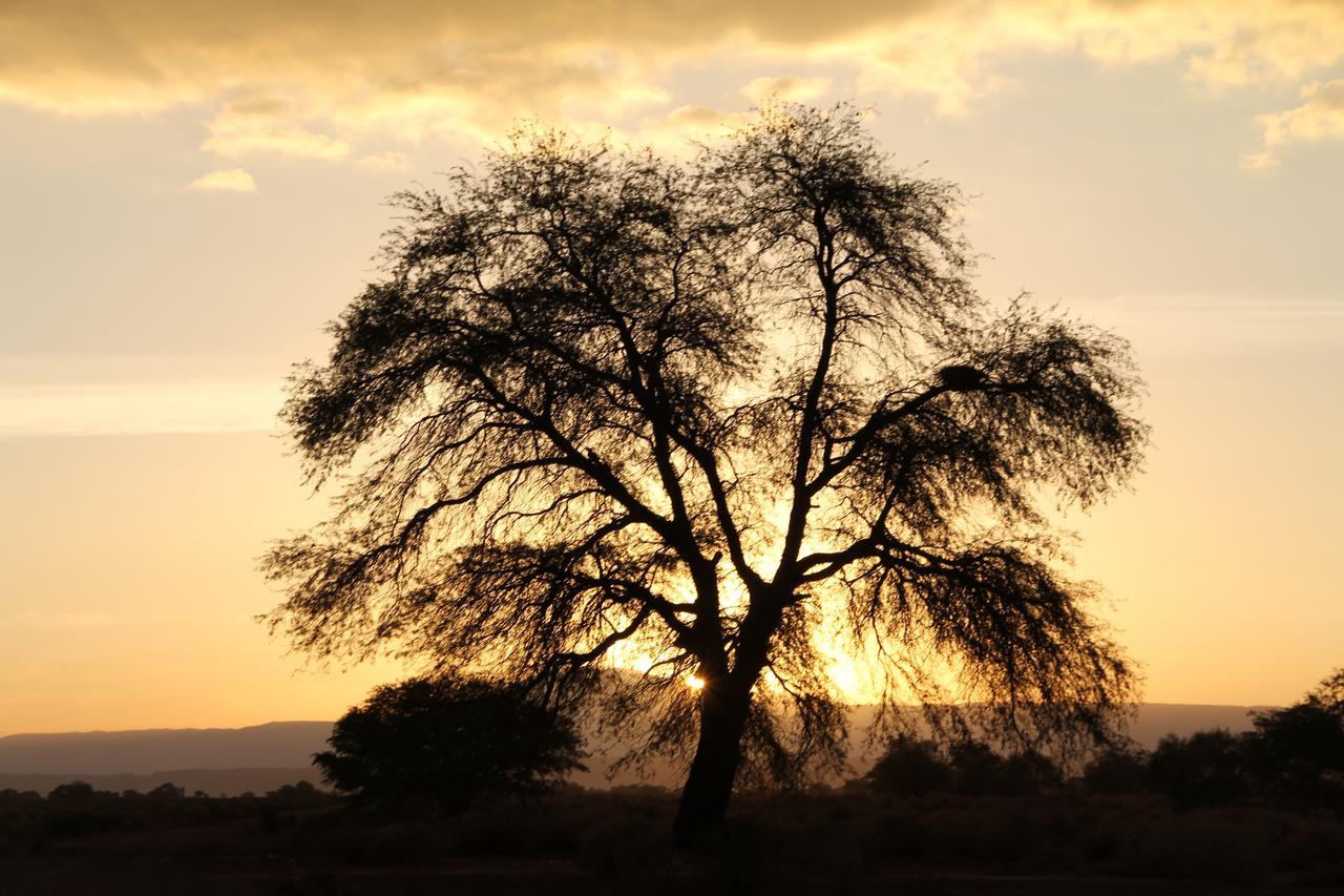 סן פדרו דה אטקאמה Andes Nomads Desert Camp & Lodge מראה חיצוני תמונה