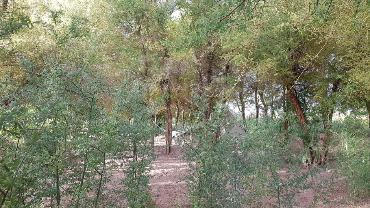 סן פדרו דה אטקאמה Andes Nomads Desert Camp & Lodge מראה חיצוני תמונה